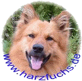 Link zu den Harzf�chsen