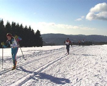 Bild der Wettk&auml;mpfer